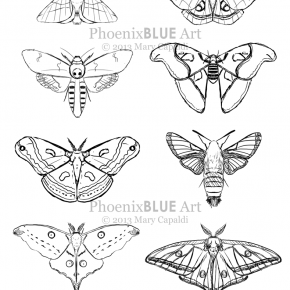 Moth Paintings: Sketches 2-9