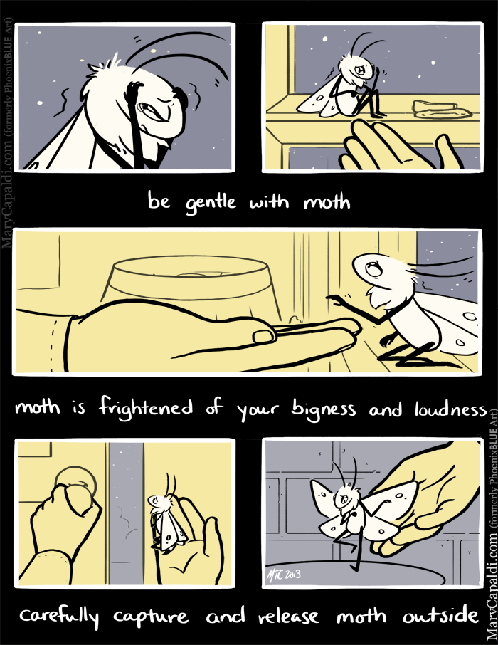Be Kind to Moth 2