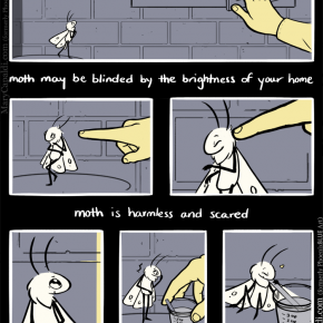 Be Kind to Moth 3