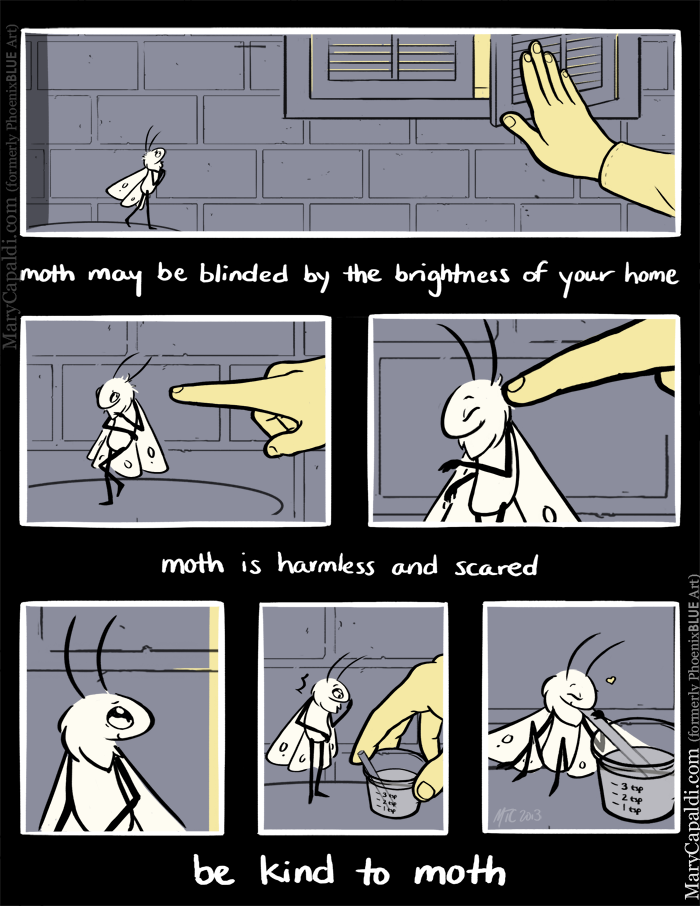 Be Kind to Moth 3