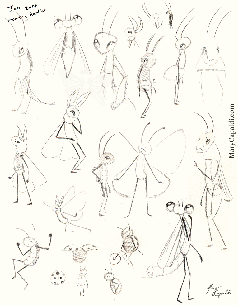 Moths & Bugs Pencil Sketches Jan 2014
