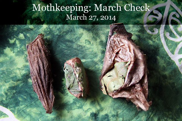 header-mothkeeping: mar