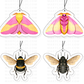 Bumblebee & Rosy Maple Moth Charm Designs