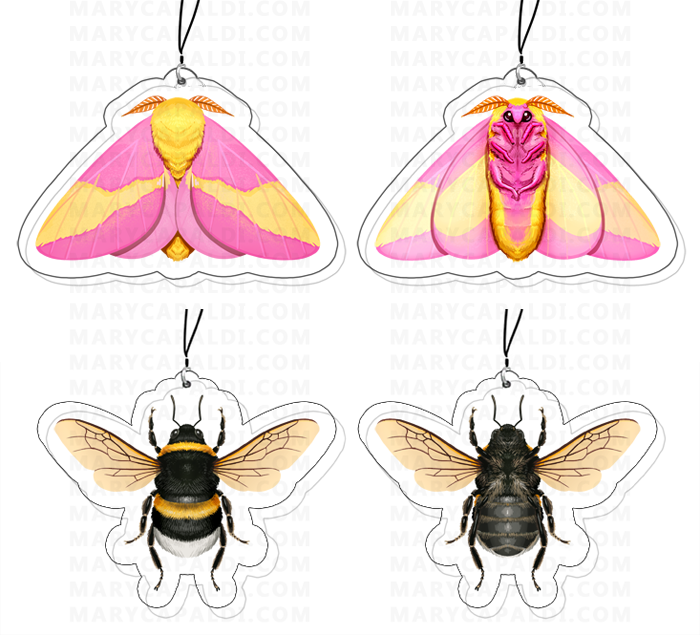 Bumblebee & Rosy Maple Moth Charm Designs