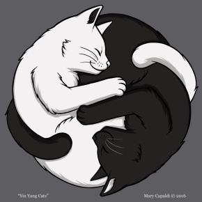 Yin Yang Cats
