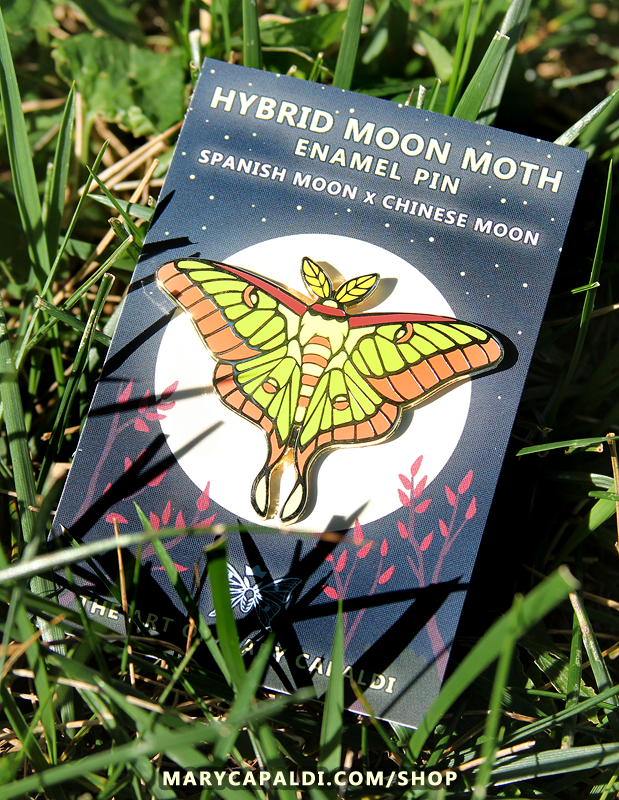 Hybrid Moon Moth Enamel Pin